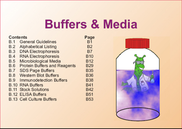 Buffers & Media