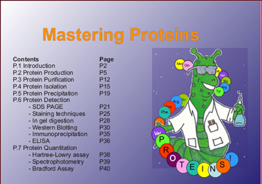 Mastering Proteins